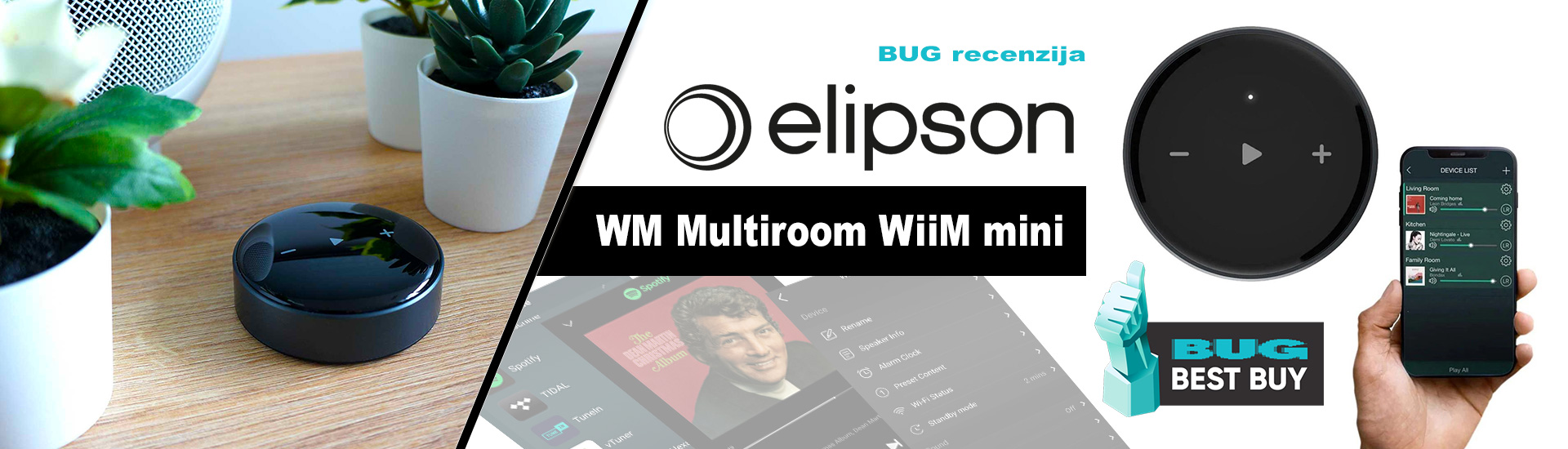 Elipson WM Multiroom WiiM mini BUG