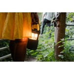 PURE Woodland Glow vodootporni zvučnik s LED lampom
