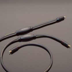 Transparent PLUS RCA 1m interkonekt kabel