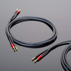 Transparent HARDWIRED 2,5 zvučnički kabel